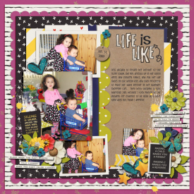 Life-Is-Like.jpg