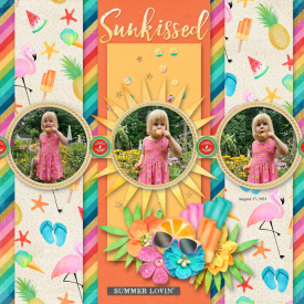 Scrap-It-Summer-Shadowbox-Aug-17.jpg