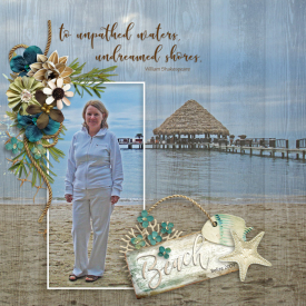 Scrap-It-Summer-Shadowbox-Aug-20.jpg