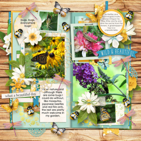 Scrap-It-Summer-Shadowbox-Aug-24.jpg