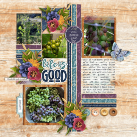 Scrap-It-Summer-Shadowbox-Aug-27.jpg