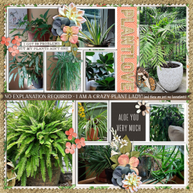Scrap-It-Summer-Shadowbox-Aug-29.jpg