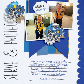 ServeandProtect2013web.jpg