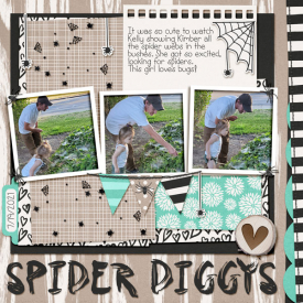 Spider-Diggys.jpg