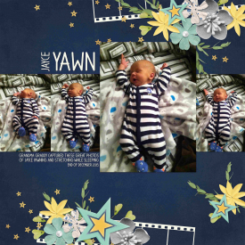 Yawns.jpg