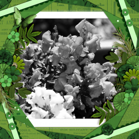 green-web-700.jpg