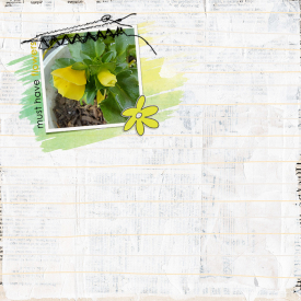 mc_ssd_0806_flowers.jpg