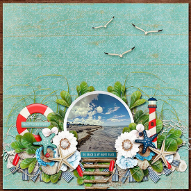 mhp-ljs-coastalcraze.jpg