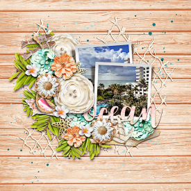 o-marnel-DSI_abeachweddingday.jpg
