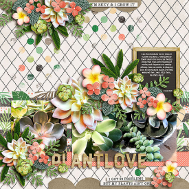 plant-love.jpg
