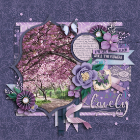 shadowbox-9.jpg
