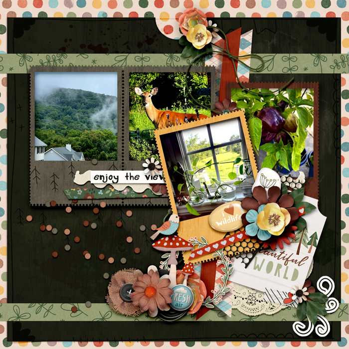 tnp_iDSDtemplates_AngieMillerLO1