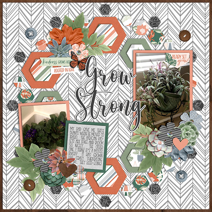 wc_march_plants_small_tracireed