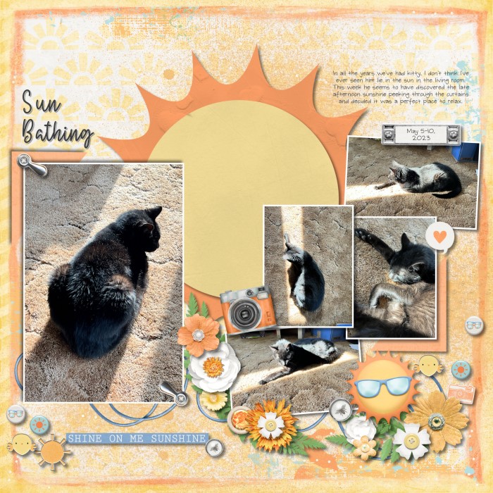 050523_Sunbathing_700