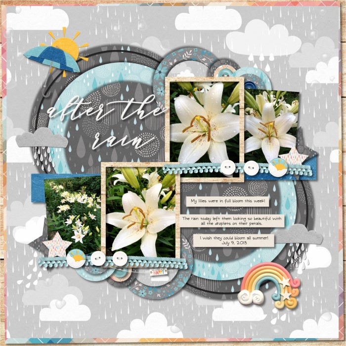 07092013_Lilies_700