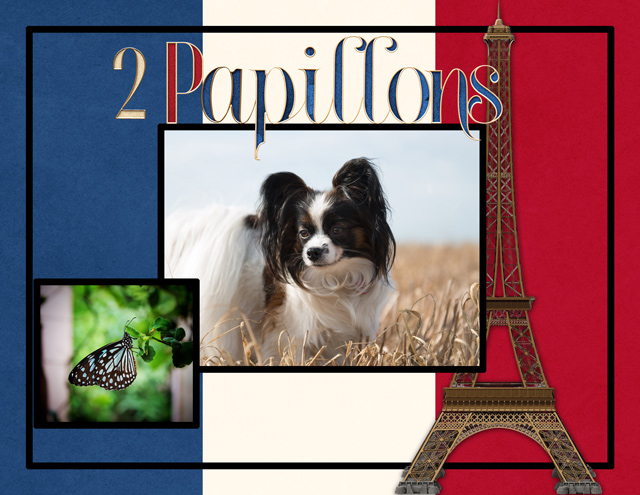 2-Papillons