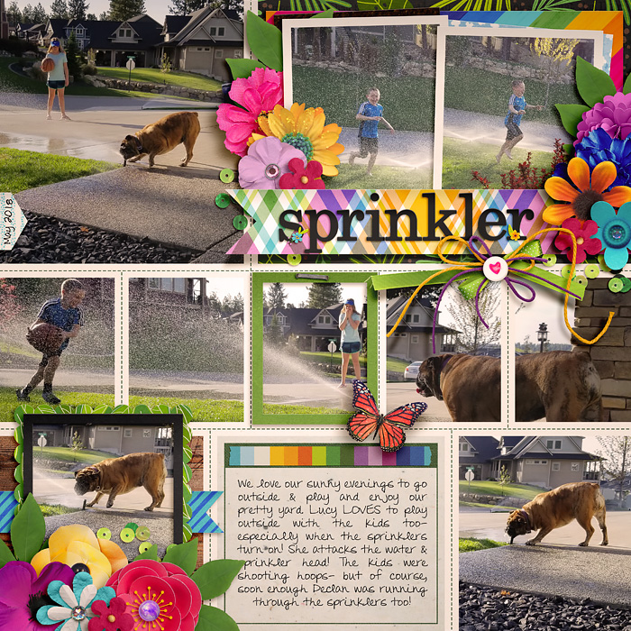 2018_5_Sprinkler