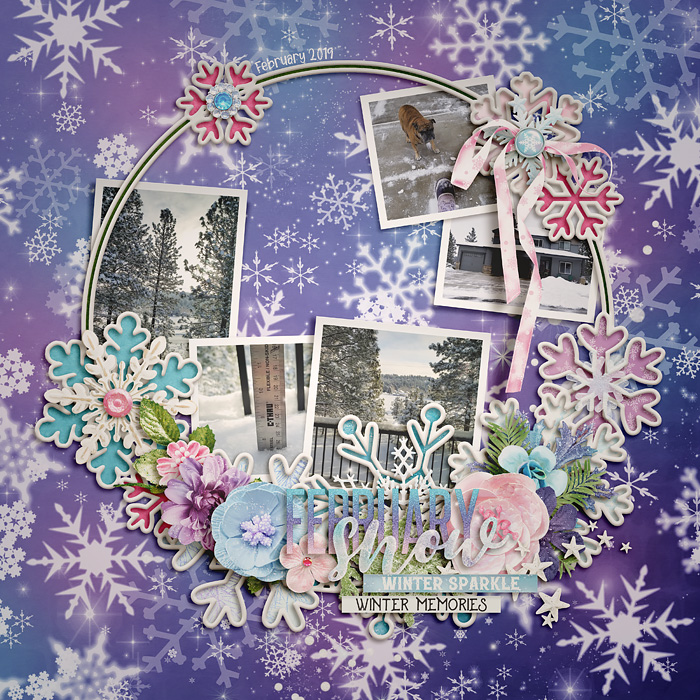 2019_2_February_Snow_CMG