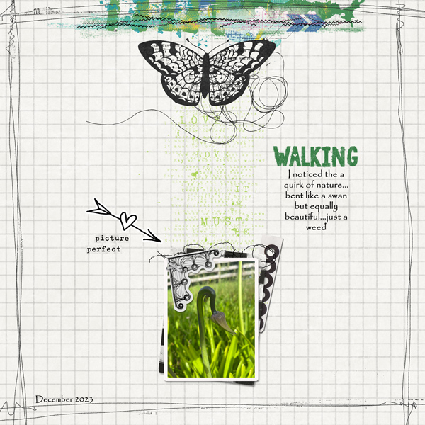 2023-December-Walking