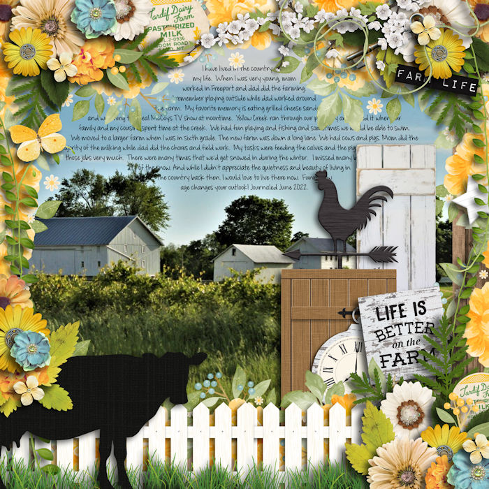 6_13_2022_FARMHOUSE_LOVE_KELLY_BANGS