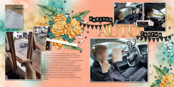 74-75-f_hrerschein