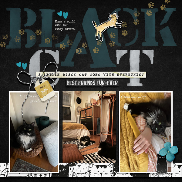 All-You-Need-is-a-Cat