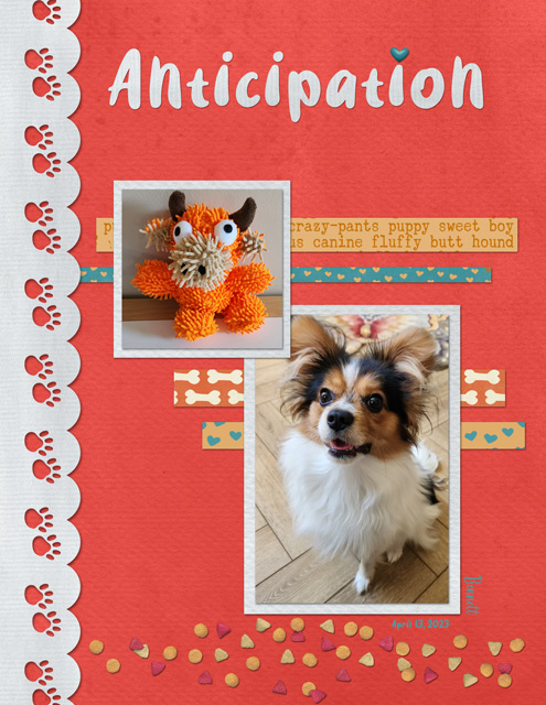 Anticipation6