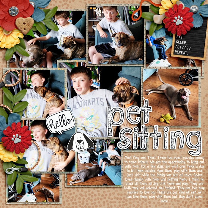 CadenPetSitting0822web