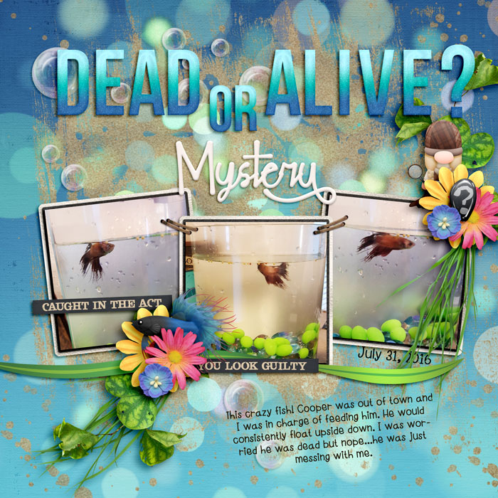 DeadorAliveFish16web
