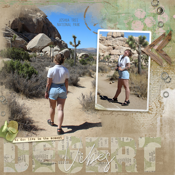 Desert-Vibes