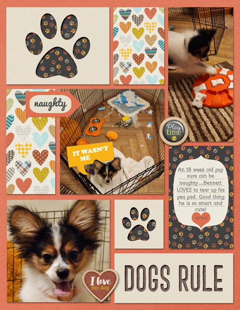 Dogs-Rule