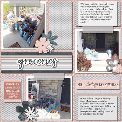 Groceries