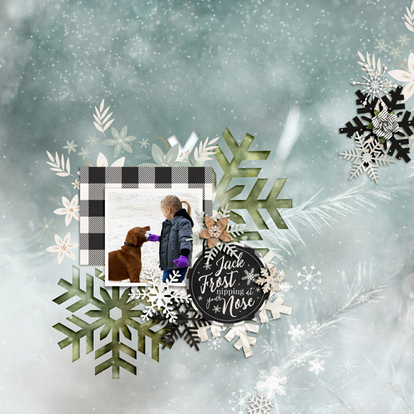 JackFrost1