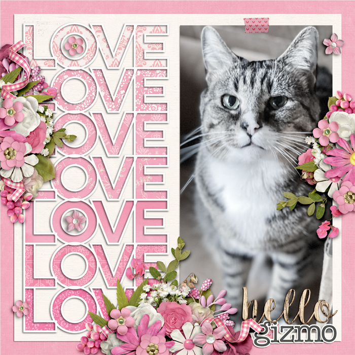 Love-GizmoWEB