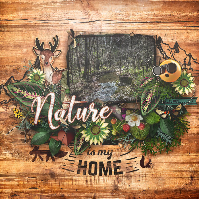 NatureIsMyHome