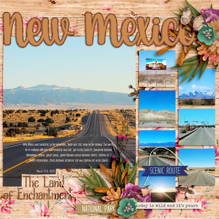 NewMexicoweb