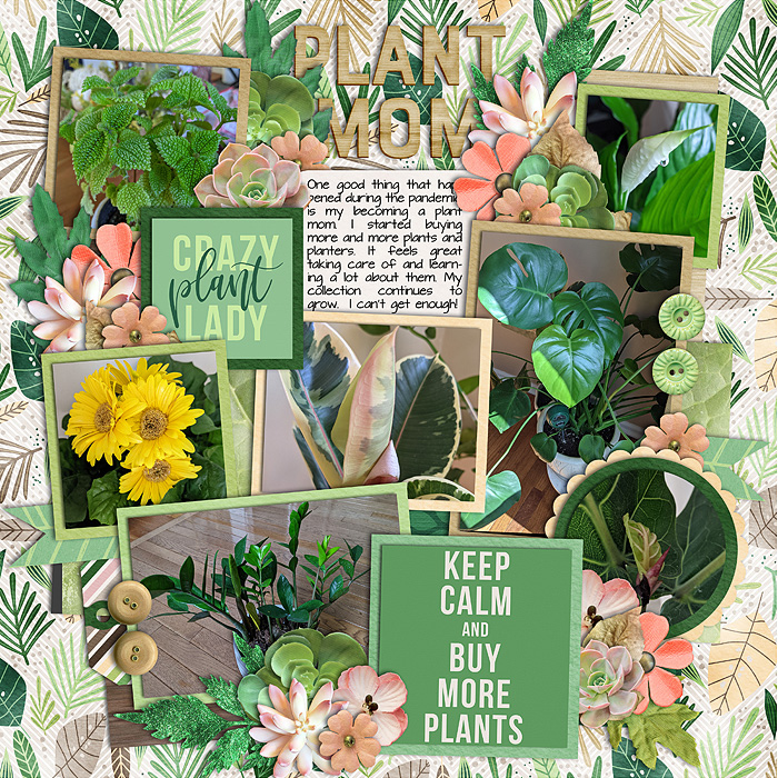 Plantmom_immaculeah