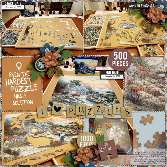 PuzzleBoard1222web