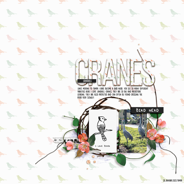 SSD_TATFeb23_15a_Sandhill-Cranes