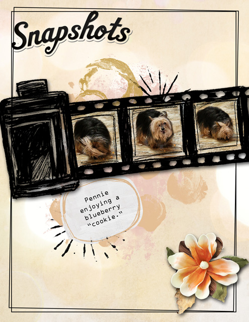 Snapshots17
