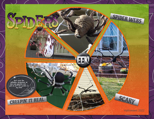 Spiders2