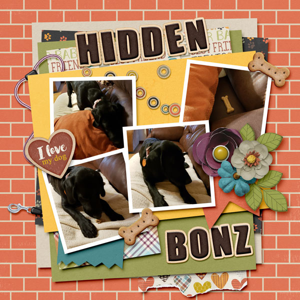 TSS_2A_Hidden-Bonz