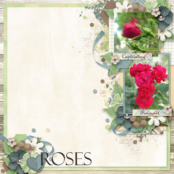 TSS_6B_Roses