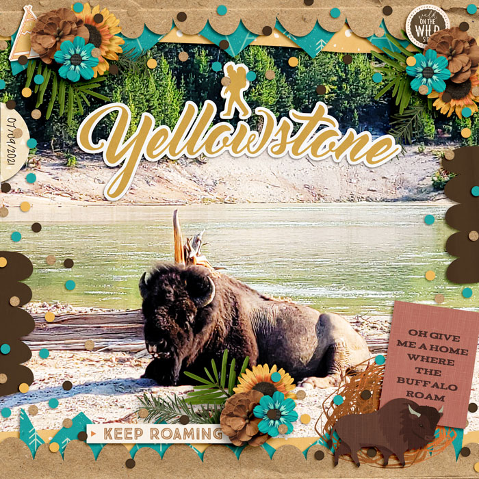 YellowstoneBison21web