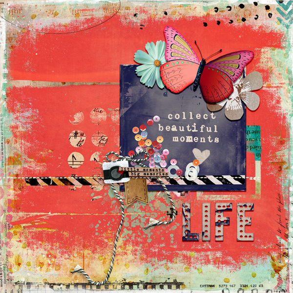 collectbeautifulmoments