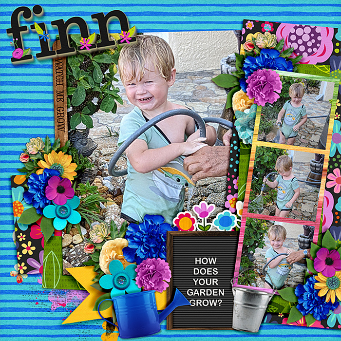 finn-garden-grow-522