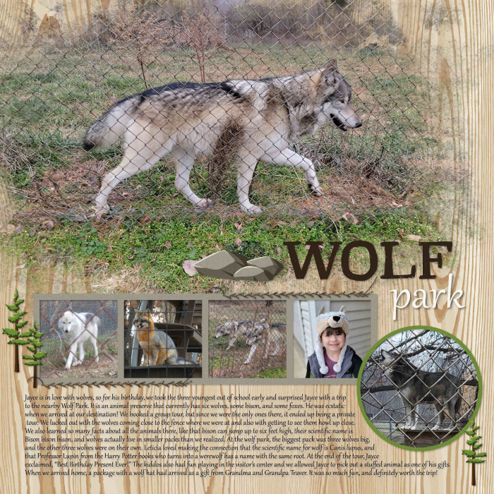 Wolf
