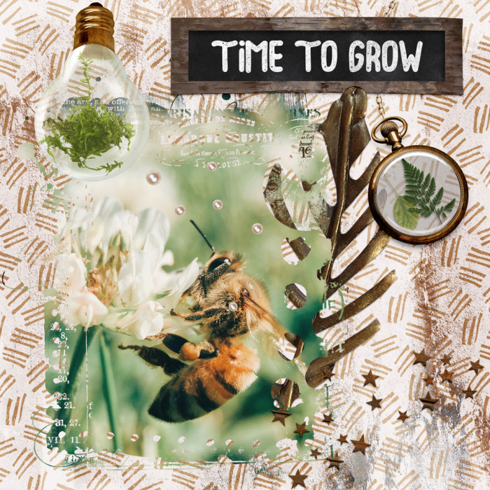 Time to Bloom