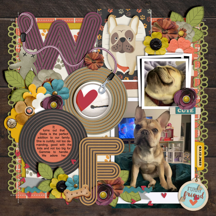 6b-Blogovesta