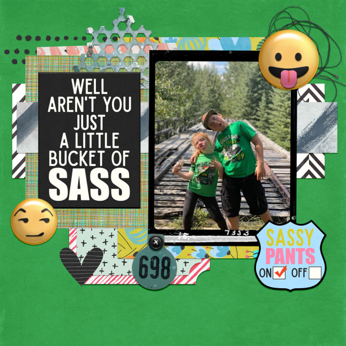 Little Bucket of Sass